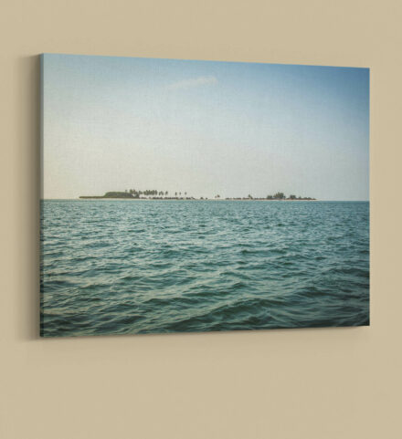 Turtle Island