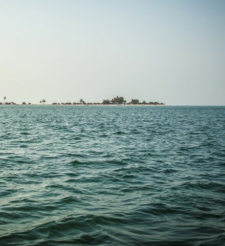 Turtle Island