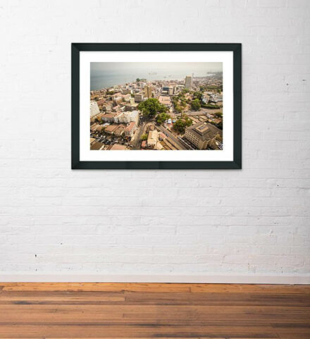 Cotton Tree Aerial