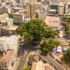 Cotton Tree Aerial