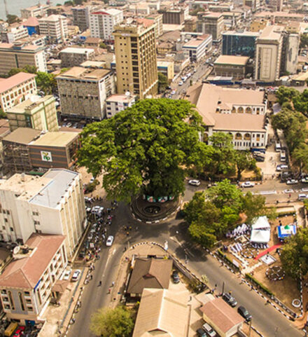 Cotton Tree Aerial