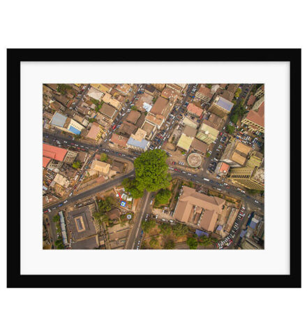 Cotton Tree Above