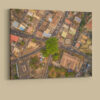 Cotton Tree Above