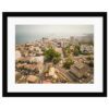 Cotton Tree Aerial