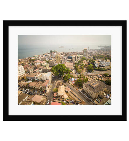 Cotton Tree Aerial