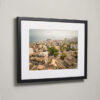 Cotton Tree Aerial