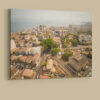 Cotton Tree Aerial