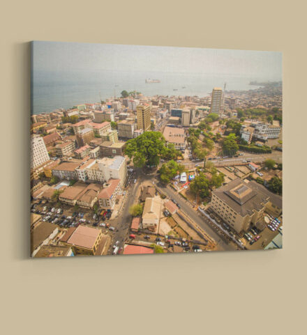 Cotton Tree Aerial
