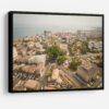 Cotton Tree Aerial
