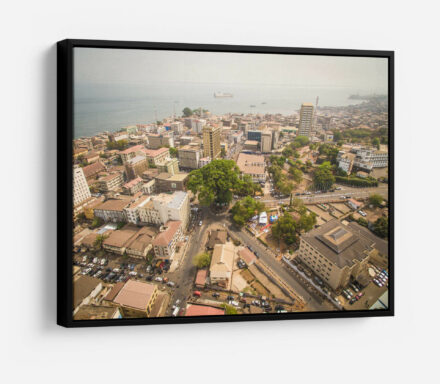 Cotton Tree Aerial