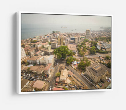 Cotton Tree Aerial