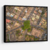 Cotton Tree Above