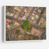 Cotton Tree Above
