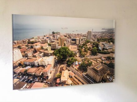 Cotton Tree Aerial