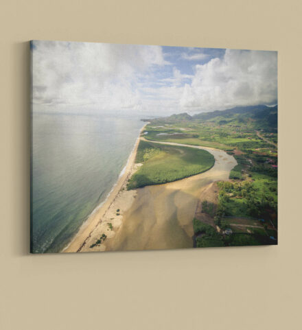 Sussex Beach