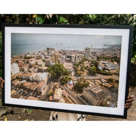 Cotton Tree Aerial