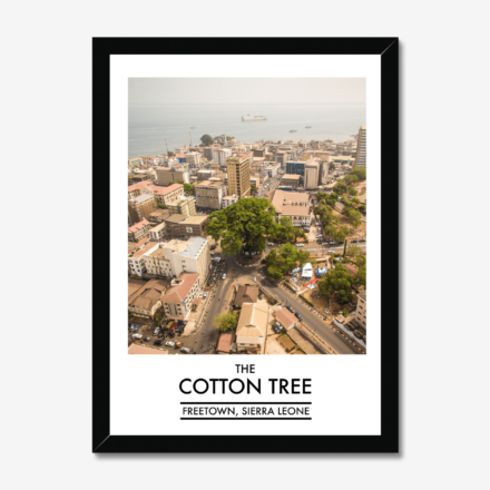 COTTON TREE Poster