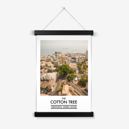 COTTON TREE Poster