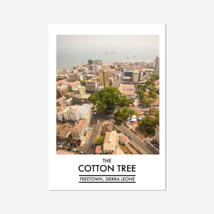 COTTON TREE Poster
